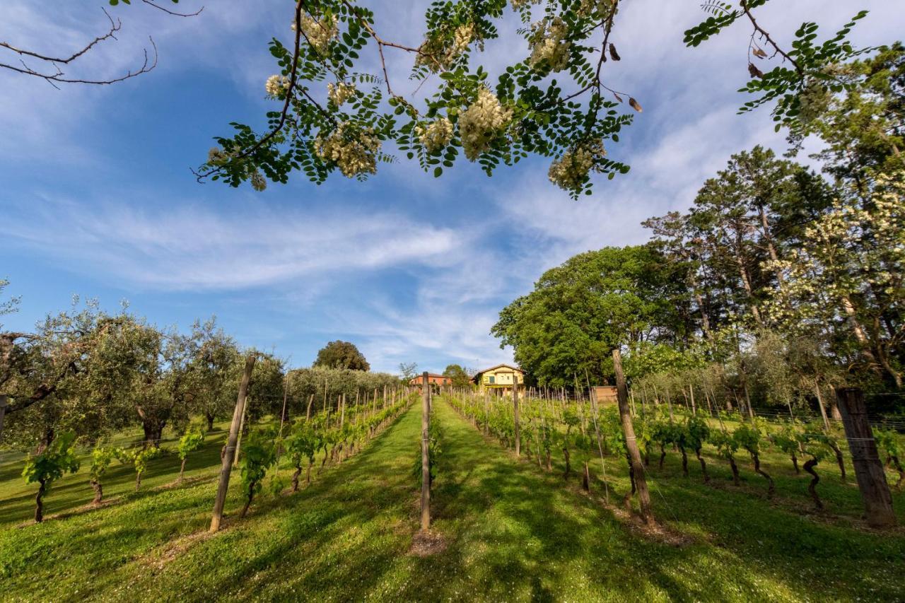 Podere Sant'Antonio Fauglia Exterior foto