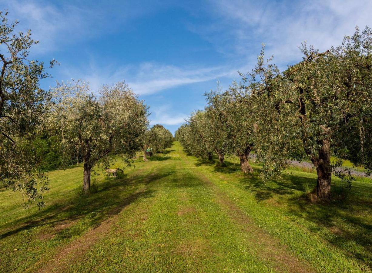 Podere Sant'Antonio Fauglia Exterior foto